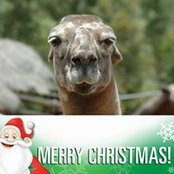 Meagan Sorrells's photo