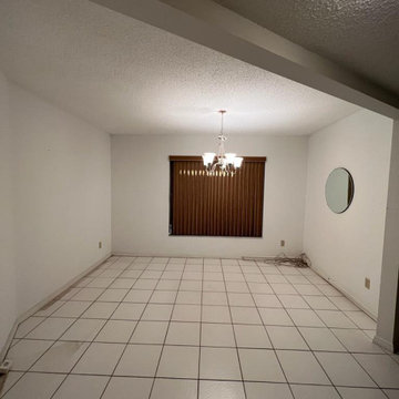 House remodeling - Temple Terrace