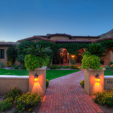 Silverleaf 1