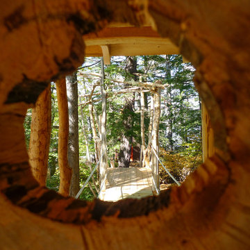 Tree house at Lake Winnipesaukee