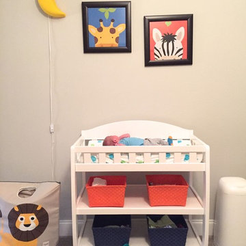 Fun and Colorful Nursery for a Baby Boy- Animal Theme