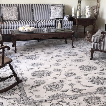 Agra Area Rug in Traditional Livingroom