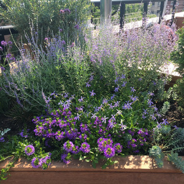 Plant combinations