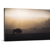 "Bison in Mist" Wrapped Canvas Art Print, 48"x32"x1.5"