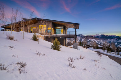 Example of a trendy exterior home design in Denver