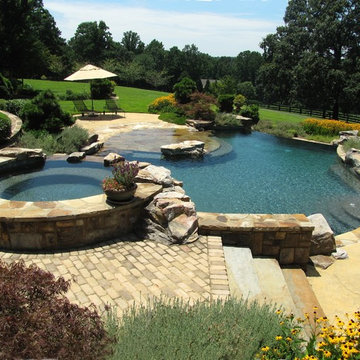 Gainesville Pool