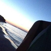 Leila Sadegholvaad's photo