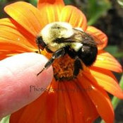 Barb Johnson's photo