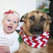 Colin Marnoch's photo