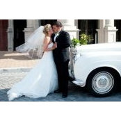 Adam Williams's photo