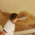 Luxe Walls LLP's profile photo