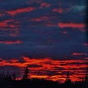 Leanne Billings's photo