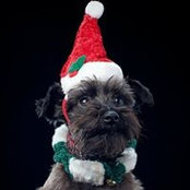 Steve Seal's photo