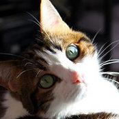 Foto de Auré Lie
