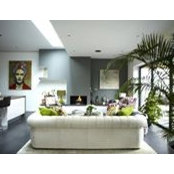 Reza Javanmard's photo