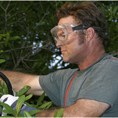 Big Dave's Tree Service