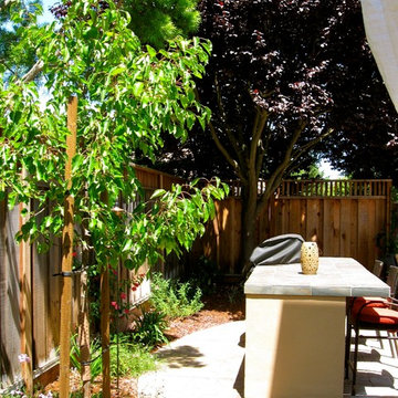 Santa Clara County, CA: Outdoor Kitchen, Low Maintenance