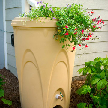 Rainwater Harvesting