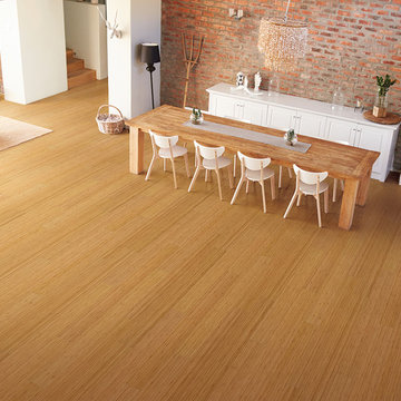 Studio Collection - VGC