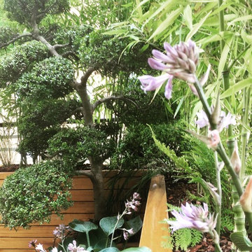 Canary Wharf Roof Garden