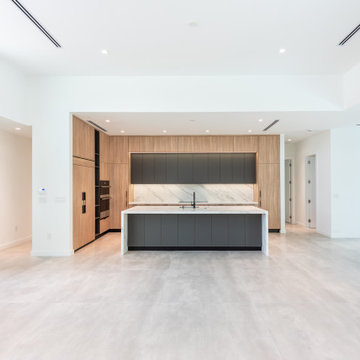 Modern Home - 06
