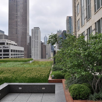 Downtown Green Roof
