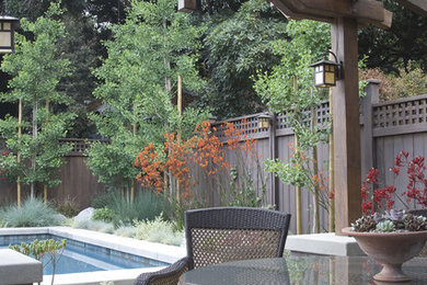 Mid-sized transitional backyard stone patio photo in Los Angeles with a pergola