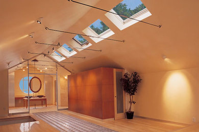 Skylights