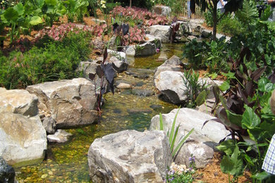 Design ideas for a huge tropical landscaping in Los Angeles.