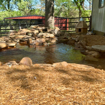 10x10 Duck Pond
