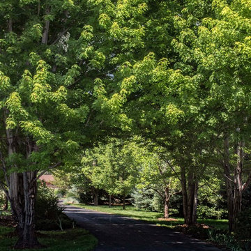Driveway Entrance