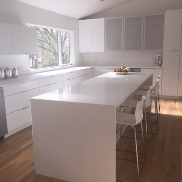 Kitchen Remodel (modern) - Rockville MD