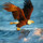 erick_allen