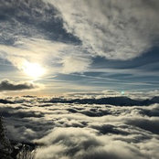N. D.'s photo