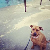Brittany Parling's photo