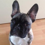 Heather De Lisle's photo