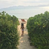 Kevin Ha's photo