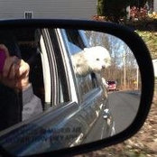 Janine Aggott's photo