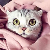 Foto von Døăă MøĦåmêd