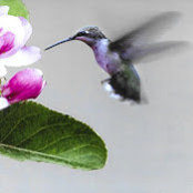 Anita Reeves's photo