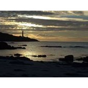 Anna Reid's photo