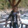 webuser_93322