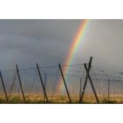 Lindsay Childers Batt's photo