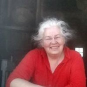 Bev Nohr's photo
