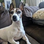 Travis Whalen's photo