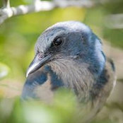 Anh Volmer's photo