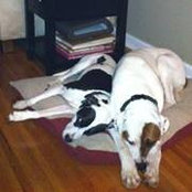 Jeff Cruger's photo