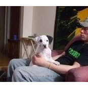 Anthony Burkhart's photo