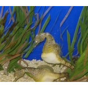 Rick Vance's photo