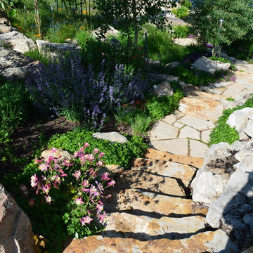 Design - Build Mountain Home Landscape in Summit County, CO